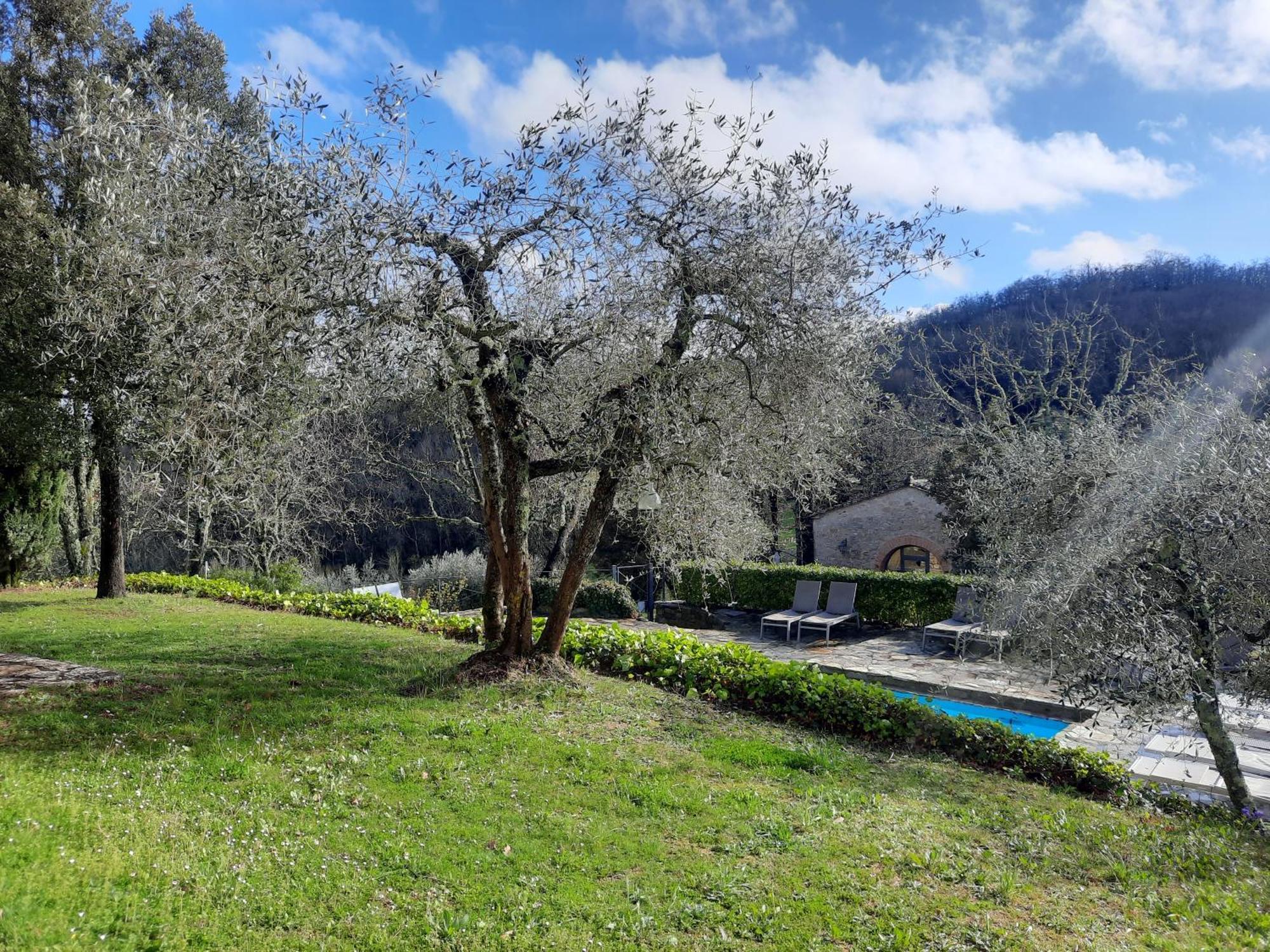 Borgo Livernano Radda in Chianti Exterior photo